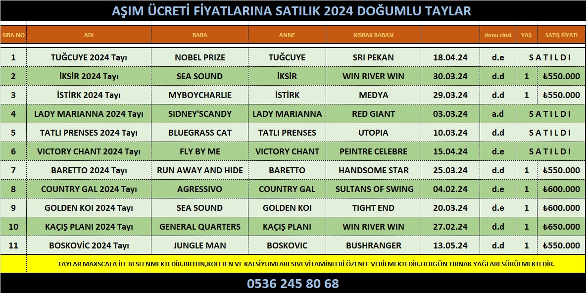 İzmirde 2024 Doğumlu elit Taylar 